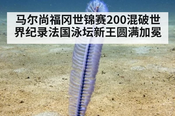 马尔尚福冈世锦赛200混破世界纪录法国泳坛新王圆满加冕