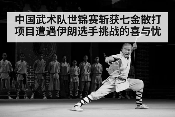 中国武术队世锦赛斩获七金散打项目遭遇伊朗选手挑战的喜与忧